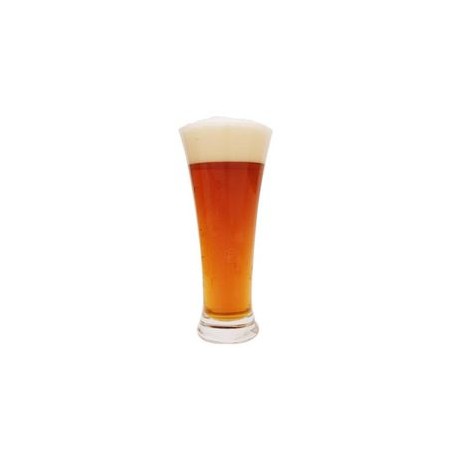 Verre &agrave; bi&egrave;re 37cl
