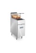 Friteuse électrique 1,5 Kilo 9 L