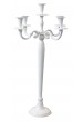 Chandelier Inox 70cm